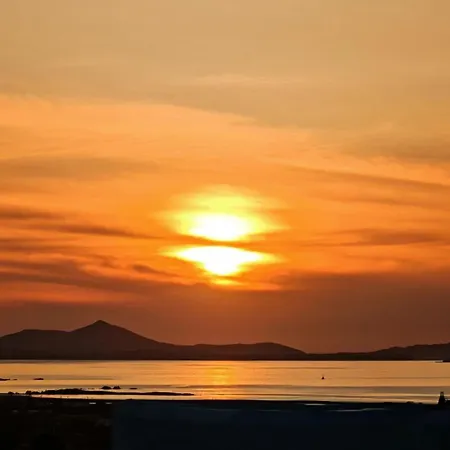 Cardara Naxos *